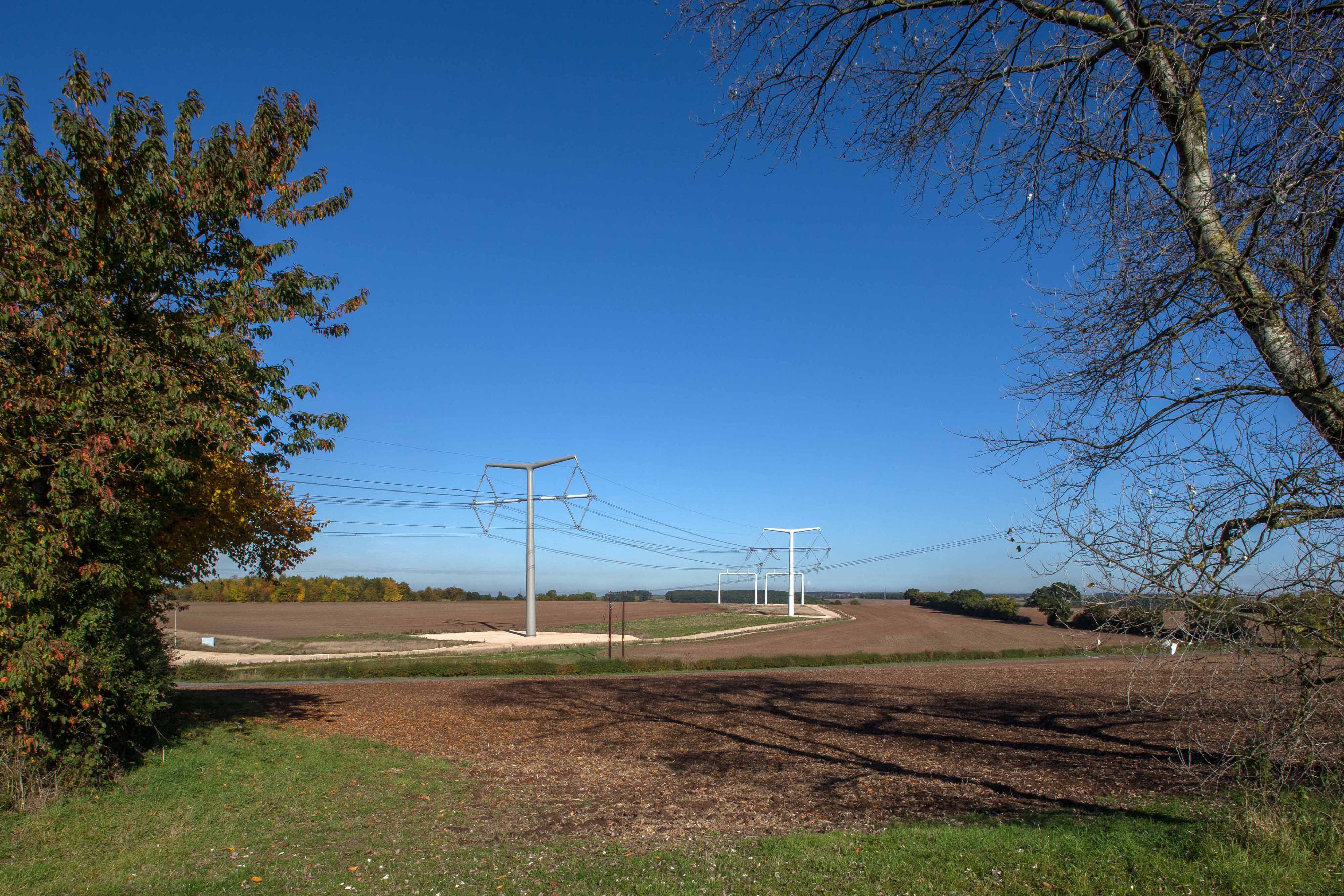 T-pylons across field with trees in the foreground