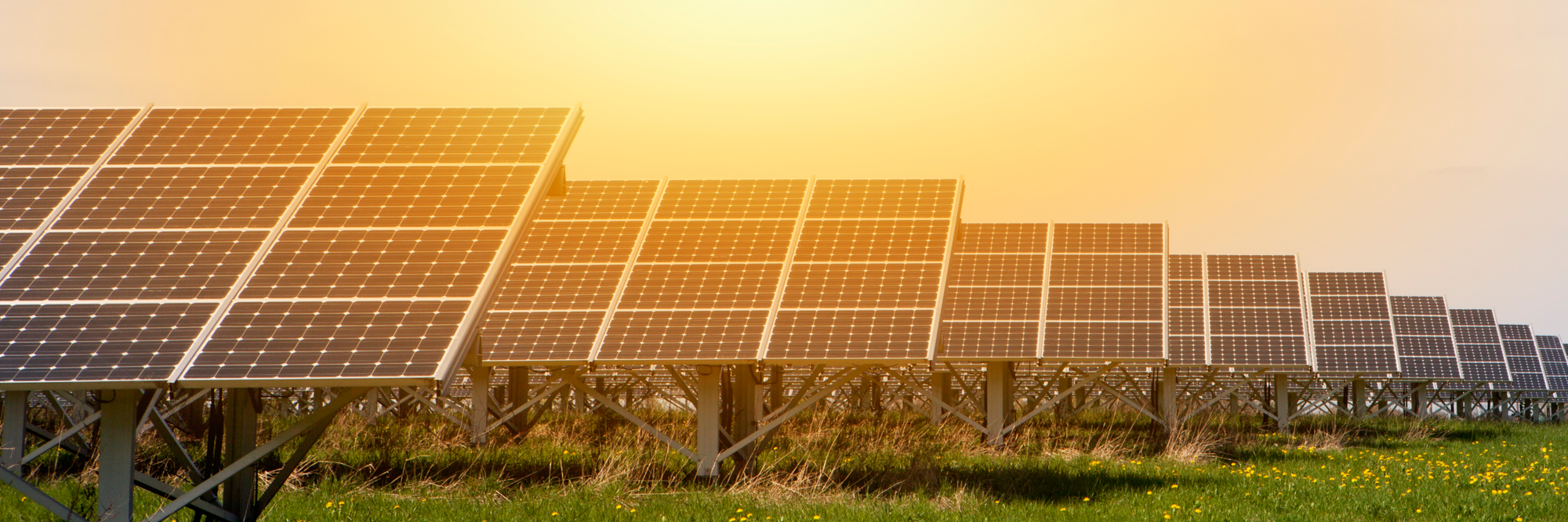 A field of solar panels with a setting sun in the background - Investor Information